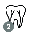 02-endodoncia